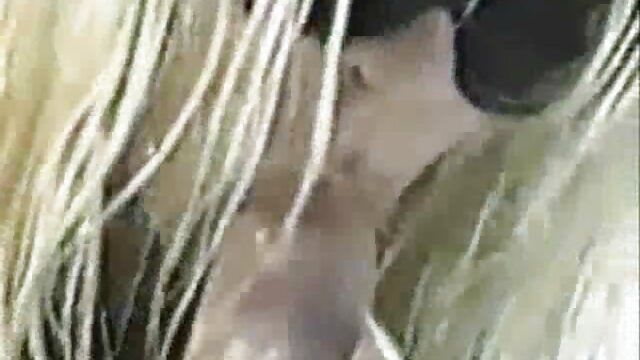 彼女の友人の母親のための経験を持っていない女の子とフェラチオを行う方法を教えるために彼に尋ねる 動画 セックス 女性